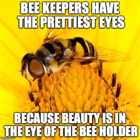 ベスト Happy World Bee Day Meme 617911 Happy World Bee Day Meme