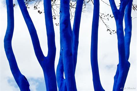 Artist Konstantin Dimopoulos Is Painting Blue Trees In The Subject