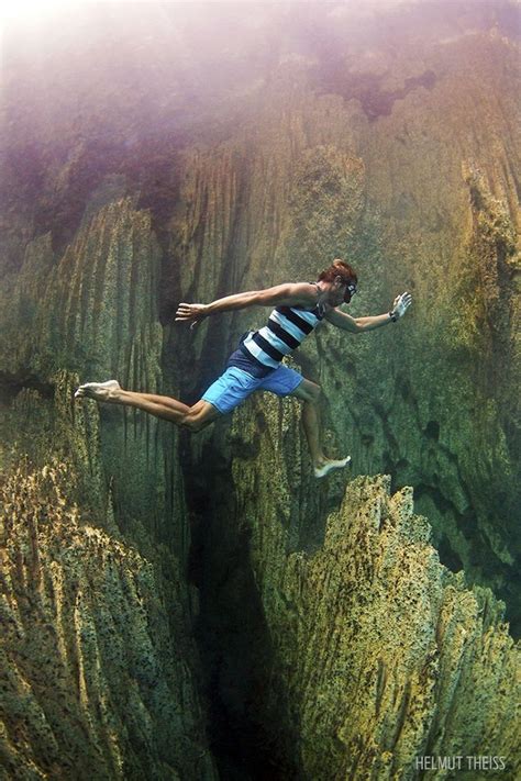 Amazing Winners Of Scuba Diving Magazines Underwater Photo Contest