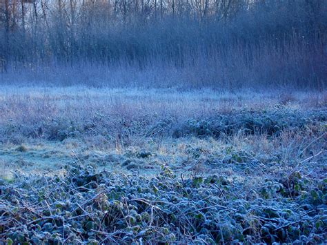 Free Stock Photo 3474 Frozen Meadow Freeimageslive