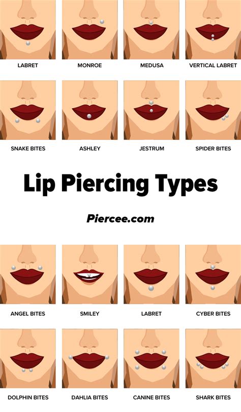 Lip Ring Piercing Cheapest Prices Save 56 Jlcatjgobmx