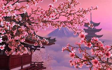 Cherry Blossom Japan Aesthetic Wallpaper Desktop Mural Wall