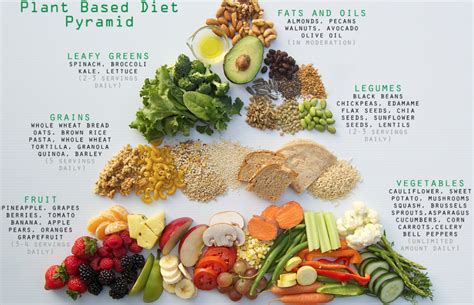 The Health Benefits Of A Plant Based Diet In Your 40s And 50s