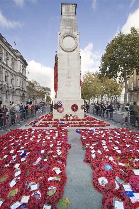 Why Do We Wear Red Poppies On Remembrance Sunday And How To Wear Them