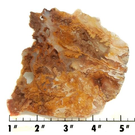 Slab111 Graveyard Point Plume Agate Slab Copper Canyon Lapidary