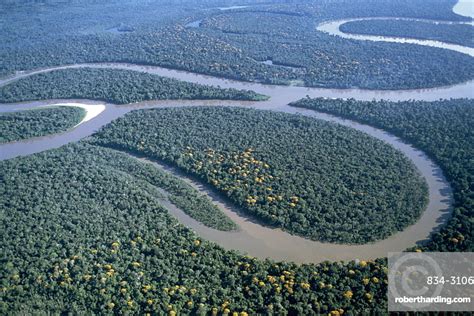 Aerial View Of Amazon River Stock Photo