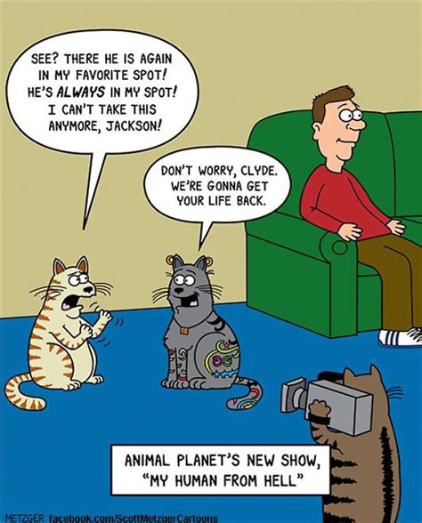 Cat Funny Cartoon