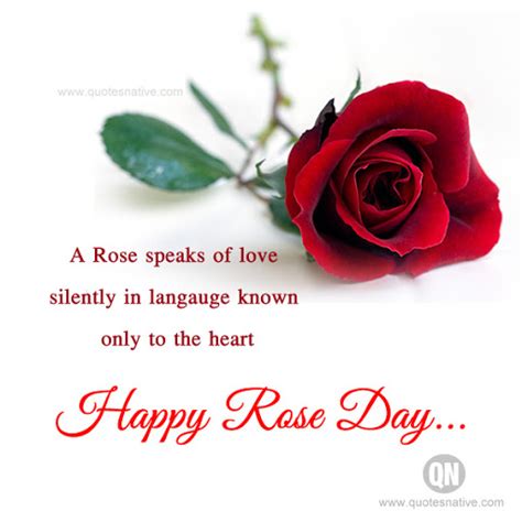 Top 20 World Rose Day Quotes And Messages Message For Day Happy