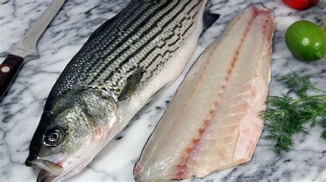 Baja Farmed Striped Bass Santa Monica Seafood