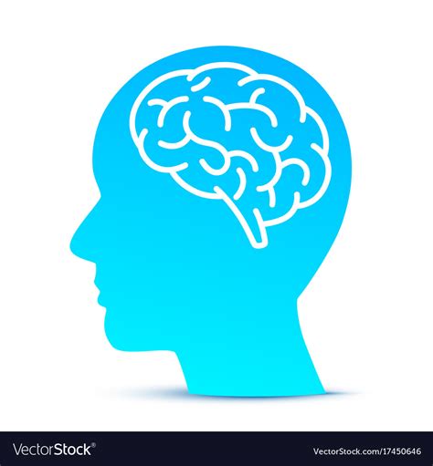 Silhouette Head With The Brain On The Blue Vector Image