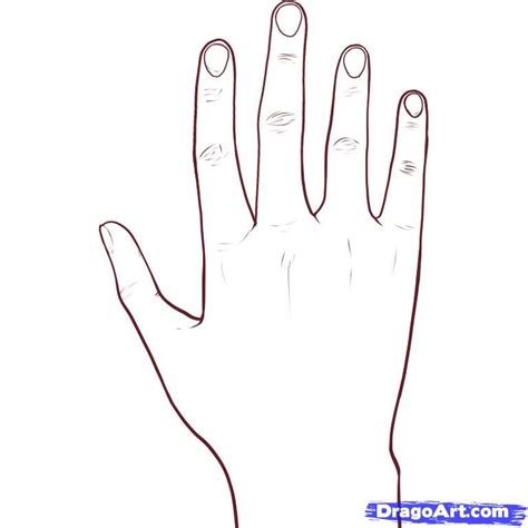 Drawing Hands How To Draw Fingers How To Draw Hands Pencil Drawing
