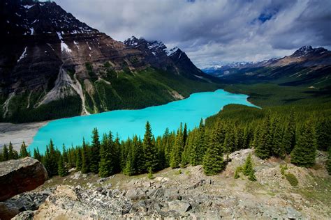 1418199 4k 5k Peyto Lake Canada Parks Mountains Lake Banff