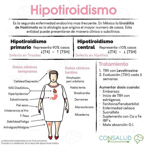Personas con hipotiroidismo Farmacologia enfermeria Enfermería Hot