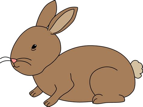 Images Of Cartoon Rabbits Clipart Best