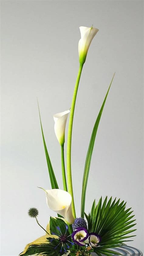 A Vase Filled With White Flowers Sitting On Top Of A Table Next To A Plant