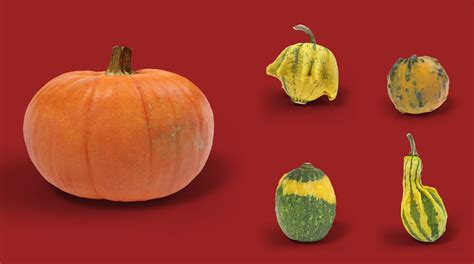 Halloween pumpkins set - BlenderBoom in 2020 | Halloween pumpkins ...