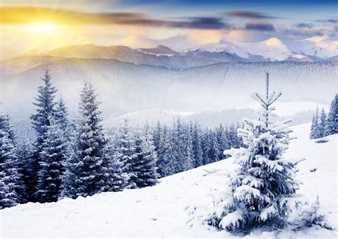 Nature Winter Mountain Christmas Tree Snow Sun Rays