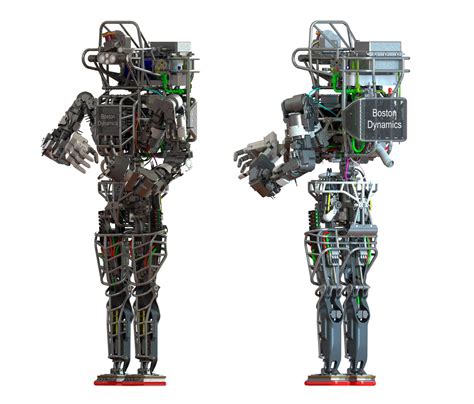 The Evolution Of Humanoid Robots Pictures Cnet