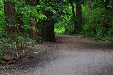 Wheelchair Wandering Accessible Trails In Washington State