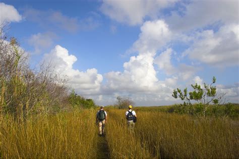 Camping Worlds Guide To Rving Everglades National Park Camping World