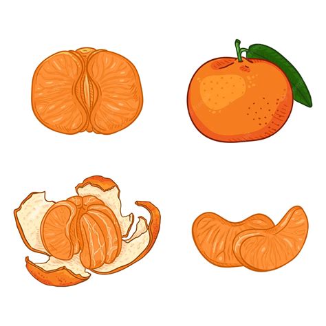 Ensemble Vectoriel De Mandarines Orange De Dessin Animé Entières Pelées