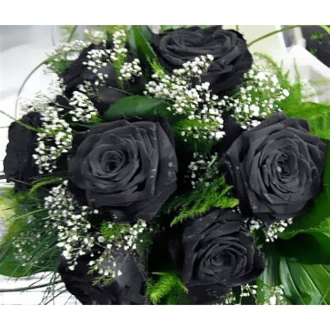 5 roses in a bouquet. Black Roses - 6 Stems Bouquet