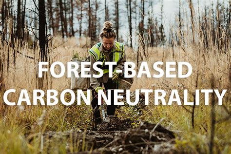Forest Based Carbon Neutrality What Is It And Does It Matter