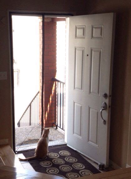 However, this isn't the case.taking care of. DIY Screen Door for $30. Keeps bugs out and indoor cats in ...