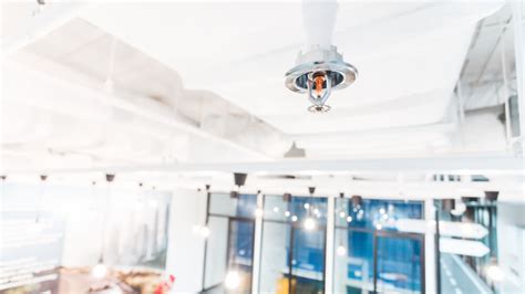 We did not find results for: 5 Benefits Of Automatic Sprinkler System For Your Business