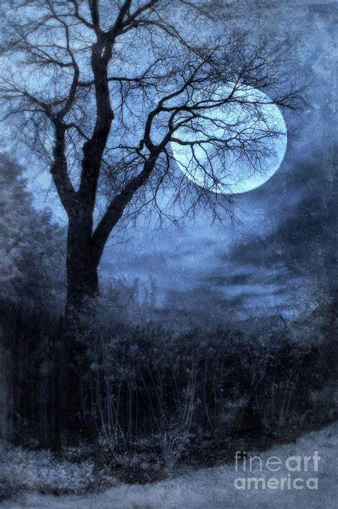 Full Moon Through Trees