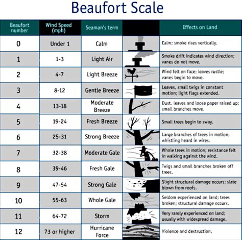 Beaufort Scale Liberal Dictionary
