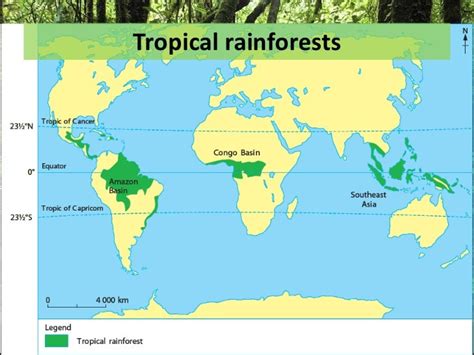 Global Location Of Tropical Rainforest Biome Distribution Biomes In