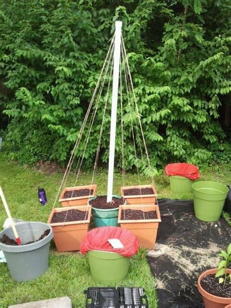 Please visit the rusted garden seed & garden shop:: Best bean trellis ever! The beans will grow in the four square containers and climb up the wires ...