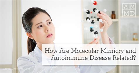 How Are Molecular Mimicry And Autoimmune Disease Related Amy Myers