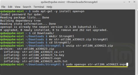 Openvpn Setup Linux Mint Command Line Strong Technology