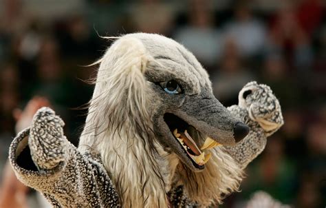 Put petfinder on your site. The Creepiest Mascots in Sports | The Players' Tribune