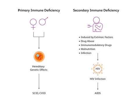 Immune Deficiencies And Immunophenotyping Immune Disorders