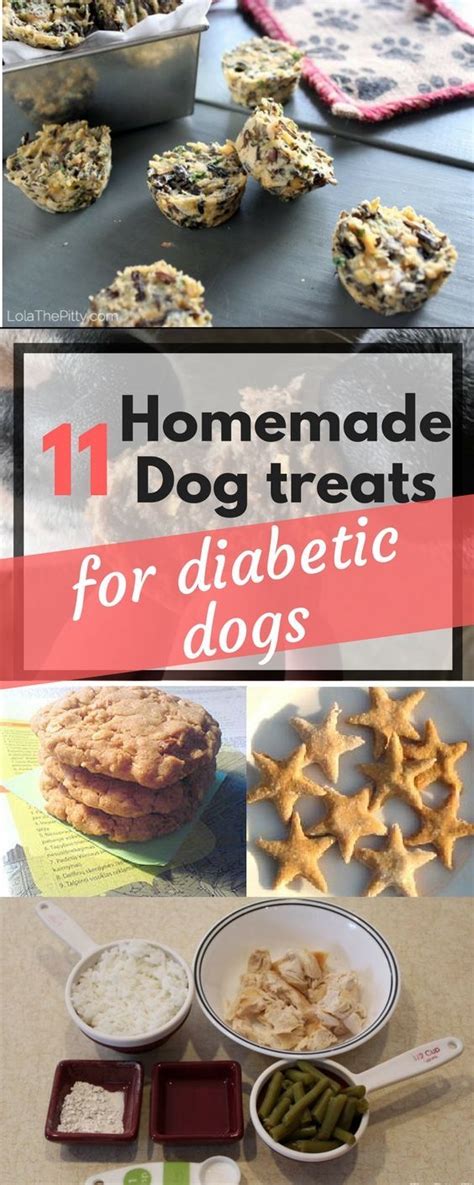 Homemade dog food for diabetes control. 11 Diabetic Dog Treats Recipes Your Pup Will Love | Diabetic dog treat recipe, Dog biscuit ...