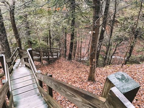 Turkey Run State Park The Best Hiking In Indiana — Adrift Aesthetic