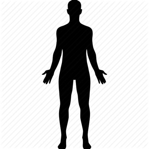 Body Icon Png 358409 Free Icons Library