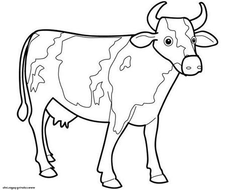 Vaca Dibujo Para Colorear