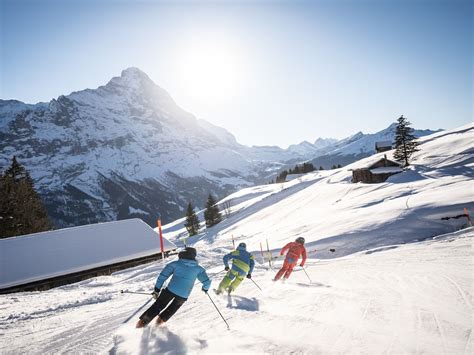 Grindelwald First Ski School For Advanced Adults Swiss Activities