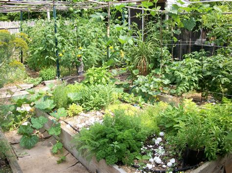 I write a plan, i start seeds, i make a trip to a specific nursery to search out my favorite varieties of heirloom tomatoes. Best 20+ Herb Garden Design 2017 - AllstateLogHomes.com