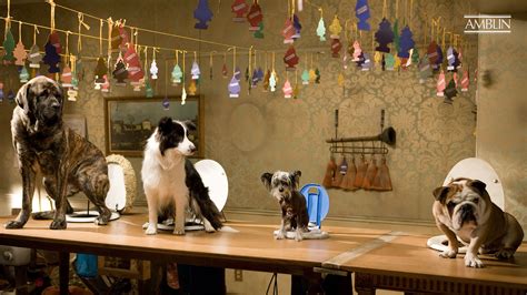 Hotel For Dogs 2009 About The Movie Amblin