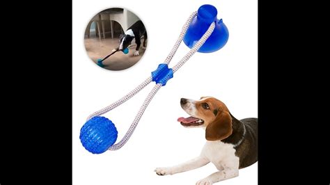 Tug Of War Suction Cup Dog Toy Youtube