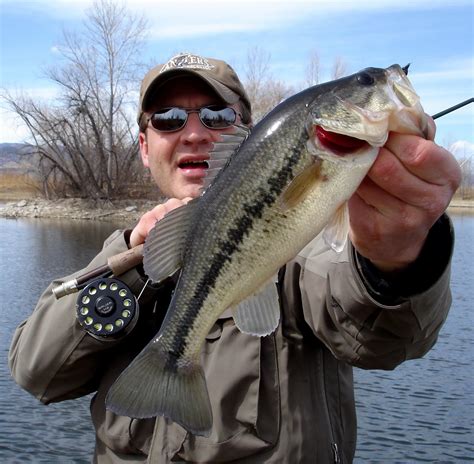 Colorado Fly Fishing Reports Fly Fishing For Bass Directory