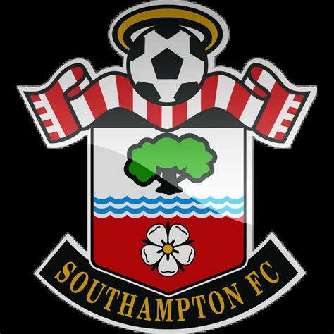 Southampton Premier Injuries