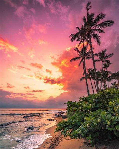Nothing Says Hawaii Like Sunsets And Palm Trees 🌴 Hawaiibeachesawesome