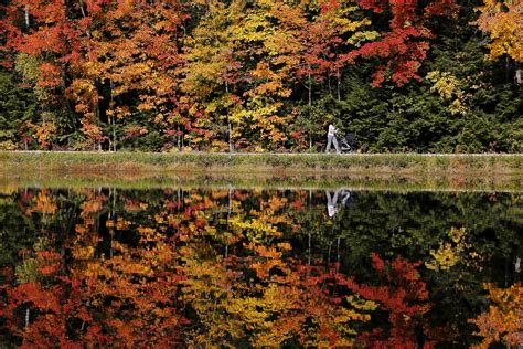 Climate Change Could Split Fall Foliage Season In Two Cbs News