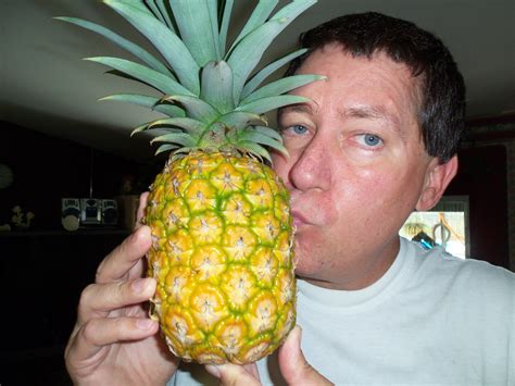 Grow Your Own Pineapples The Sweetest Youll Ever Taste Pineapple